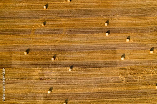Obraz na płótnie Drone flight over a harvested grain field with straw bales. Top view. w salonie