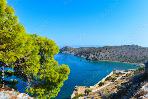 Fototapeta Naklejka Na Ścianę i Meble -  Pinie (Pinus pinea) auf der Insel Spinalonga (Kalydon) in Elounda, Agios Nikolaos, Kreta (Griechenland)