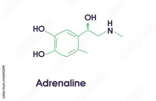 Adrenaline adrenalin, epinephrine neurotransmitter molecule. Skeletal formula.