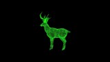 3D deer on black background. Object dissolved green flickering particles. Science concept. Abstract bg for title, presentation. Holographic screensaver. 3D animation