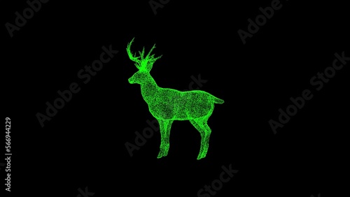 3D deer on black background. Object dissolved green flickering particles. Science concept. Abstract bg for title  presentation. Holographic screensaver. 3D animation