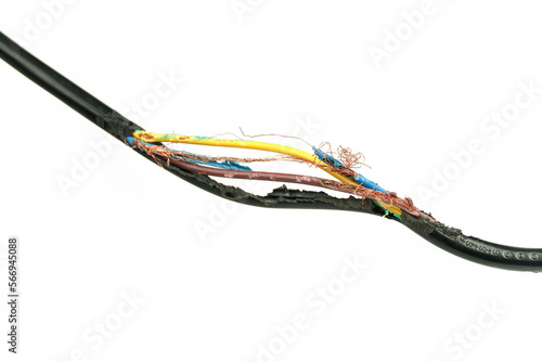 Damage on of electricity wire from rat bite on a white background. photo