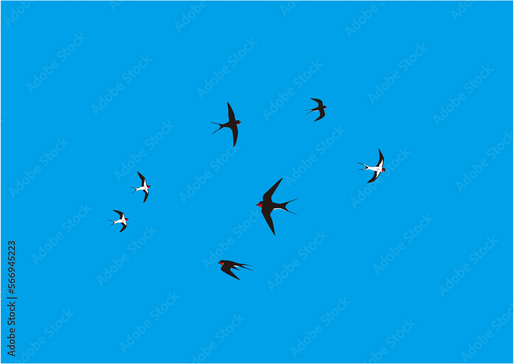 Fototapeta premium 青空に飛ぶツバメのイラスト