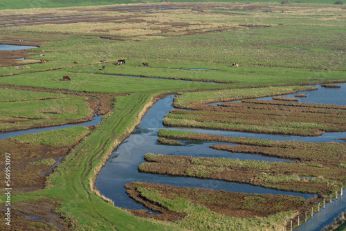 Overview from the wetlands in Burgh-Haamstede, from the Plompe tower. Zeeland, The Netherlands. photo