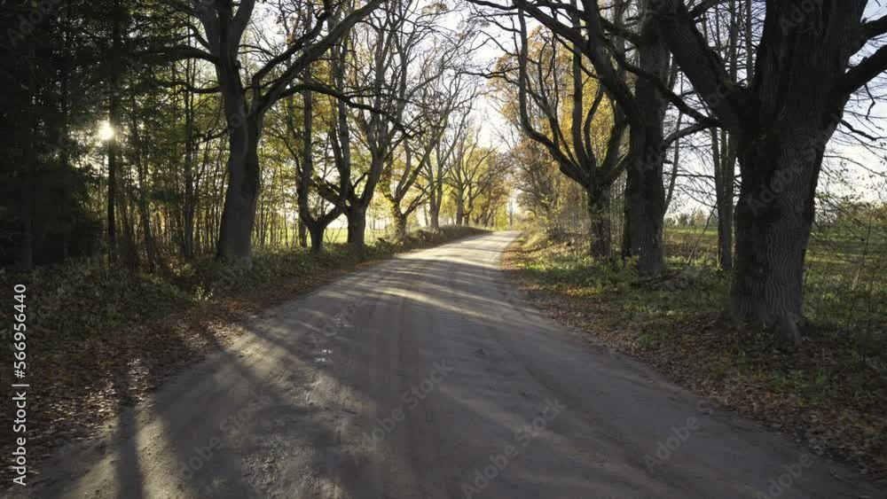 A dirt country road goes around the corner. Beautiful trees with yellow leaves grow along the road. Road sign warning about pets. Sunny warm day in October in the countryside. Latvia A dirt country road goes around the corner. Beautiful trees with yellow leaves grow along the road. Road sign warning about pets. Sunny warm day in October in the countryside. Latvia