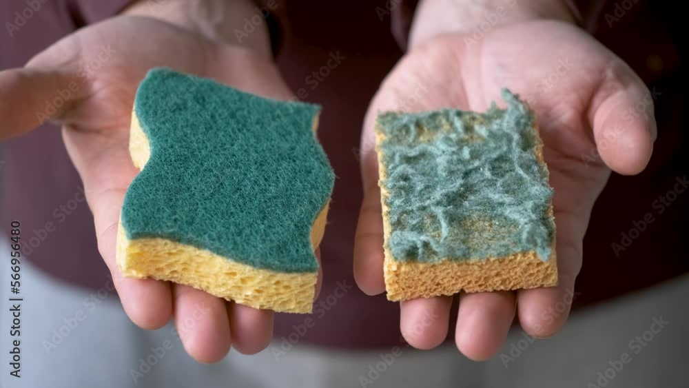 Mens hands comparing new and old double-side cleaning scouring sponge. Mens hands comparing new and old double-side cleaning scouring sponge.