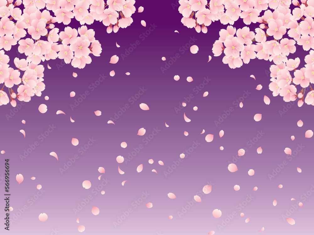 満開の桜吹雪とグラデーション背景のイラスト（紫）