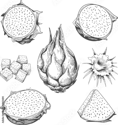 Dragon fruit engraving