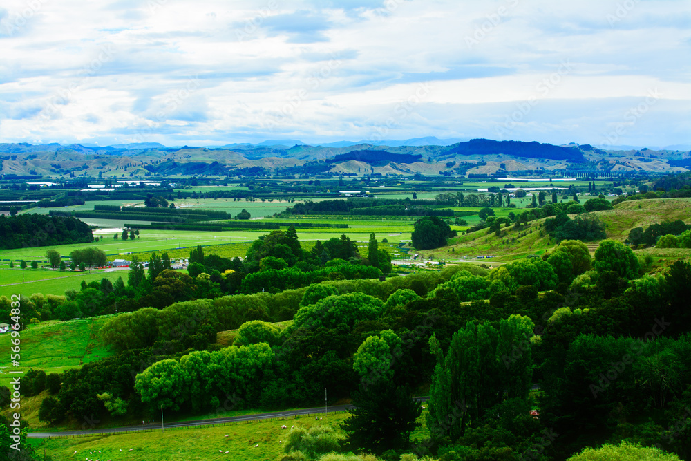 Iconic New Zealand Landscape with green rolling hills and distant mountain range under cloudy sky. Greys Hill Lookout, Gisborne, North Island, New Zealand