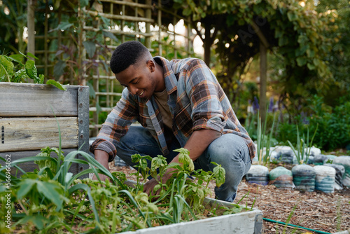 Happy young black man in checked shirt crouching while gardening by flowerbed in garden center