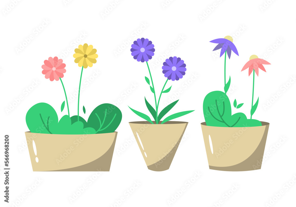 Set of cute flat flowers in pot, home decoration illustration
