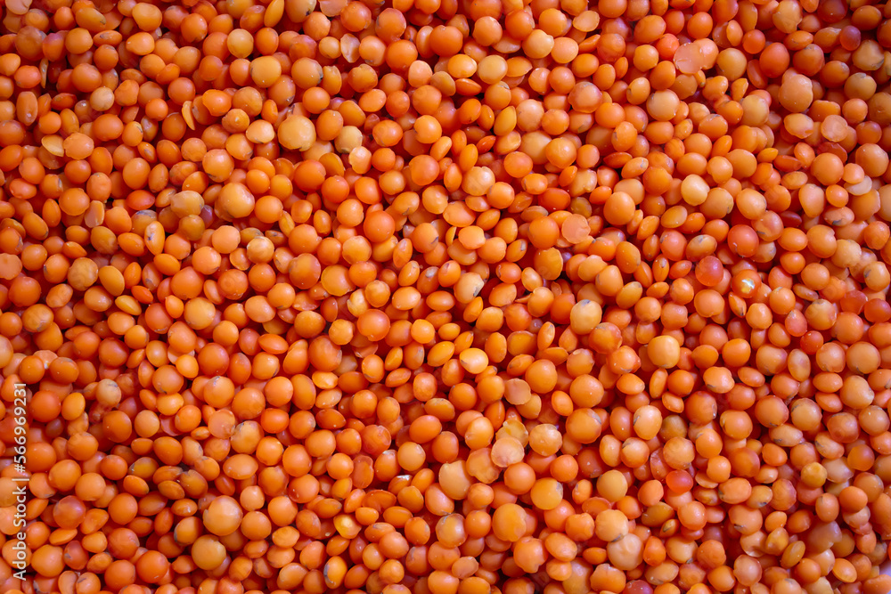 Red lentil texture background photo