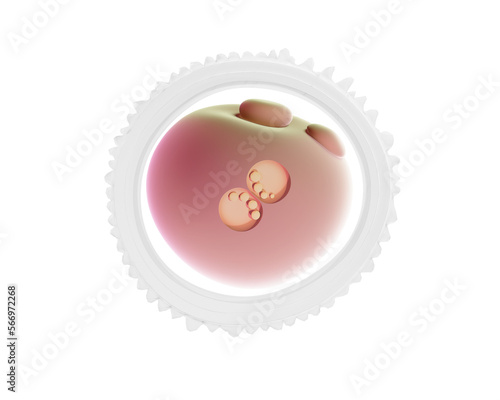 3D illustration of human fertilized egg. IVF (in vitro fertilization).
