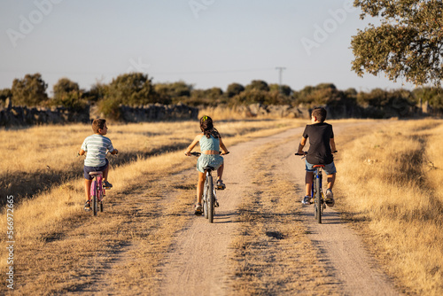 Three kids riding with theri bikes on a countryside. Back view.