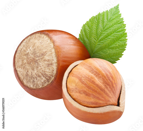 Hazelnuts with leaves cut out