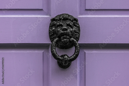 Heavy black cast iron lion door knocker on a purple wooden door.