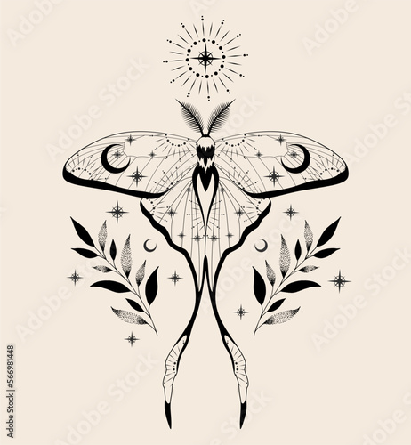 Mystic moth isolated vector illustration. Magic moon, occult, print, tattoo, poster.