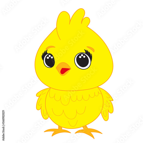 cute chicken, cartoon character, vector © zolotons