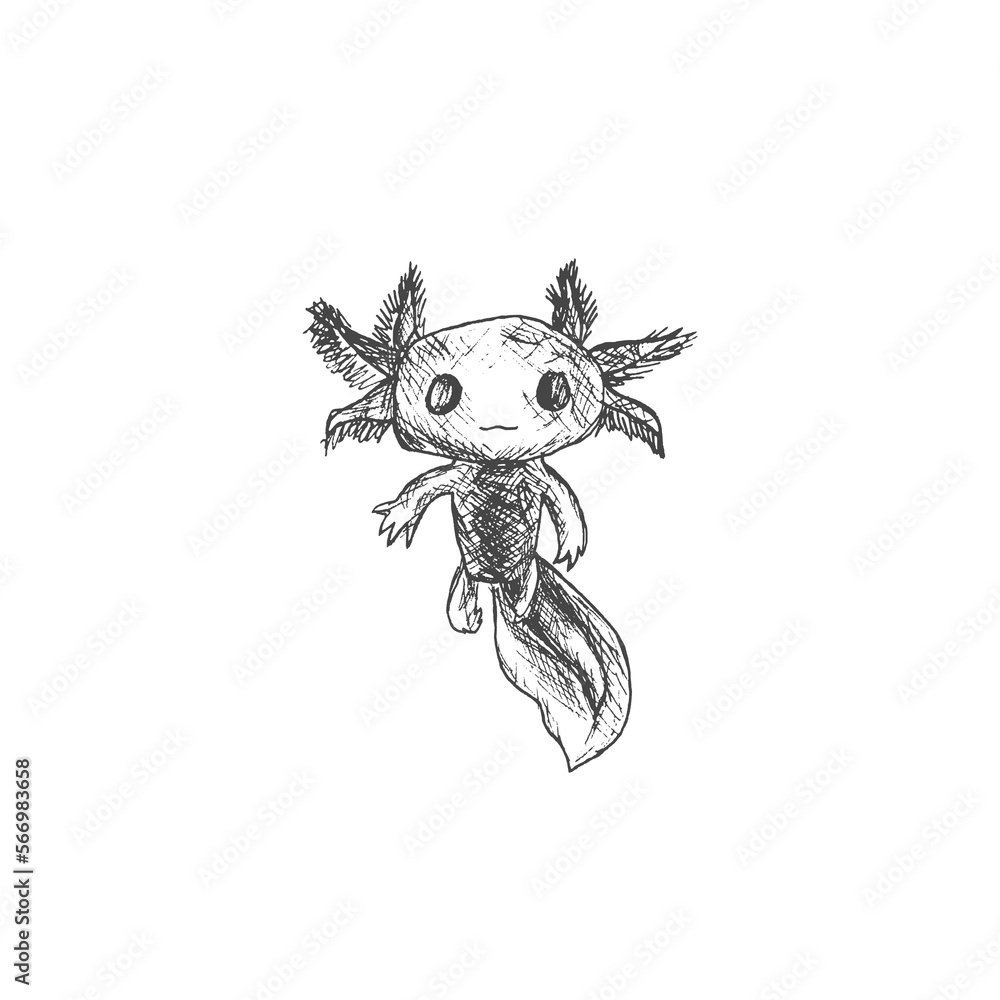 Antique engraving illustration of axolotl salamander isolated on white background Antique engraving illustration of axolotl salamander isolated on white background