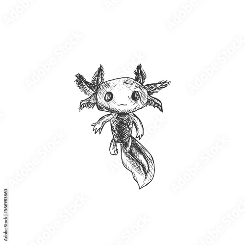 Antique engraving illustration of axolotl salamander isolated on white background