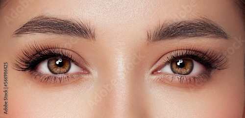 Fotografia, Obraz Female Eye with Extreme Long False Eyelashes