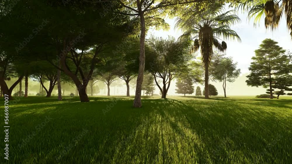 City park with green lawns and trees City park with green lawns and trees