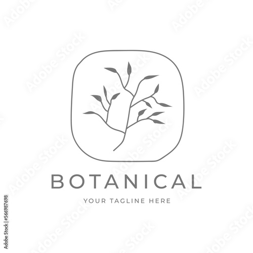 Botanical hand drawn minimal logo. Graphic tree branch in vector