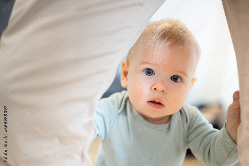 Portrait of adorable curious infant baby boy child taking first steps holding to father's pants at home. Cute baby boy learning to walk Portrait of adorable curious infant baby boy child taking first steps holding to father's pants at home. Cute baby boy learning to walk