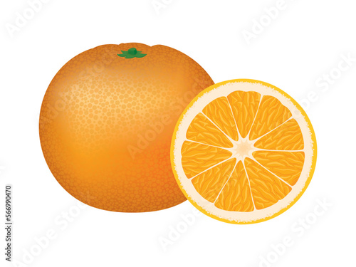 Fresh juicy orange half and whole fruit realistic icon vector. Fresh orange fruit vector illustration isolated on white background. Ripe oranges design graphic element