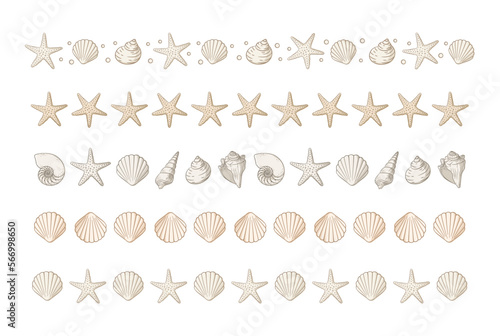 Seashells border divider set. Sea and ocean design template. Vector illustration summer or beach party, advertising design
