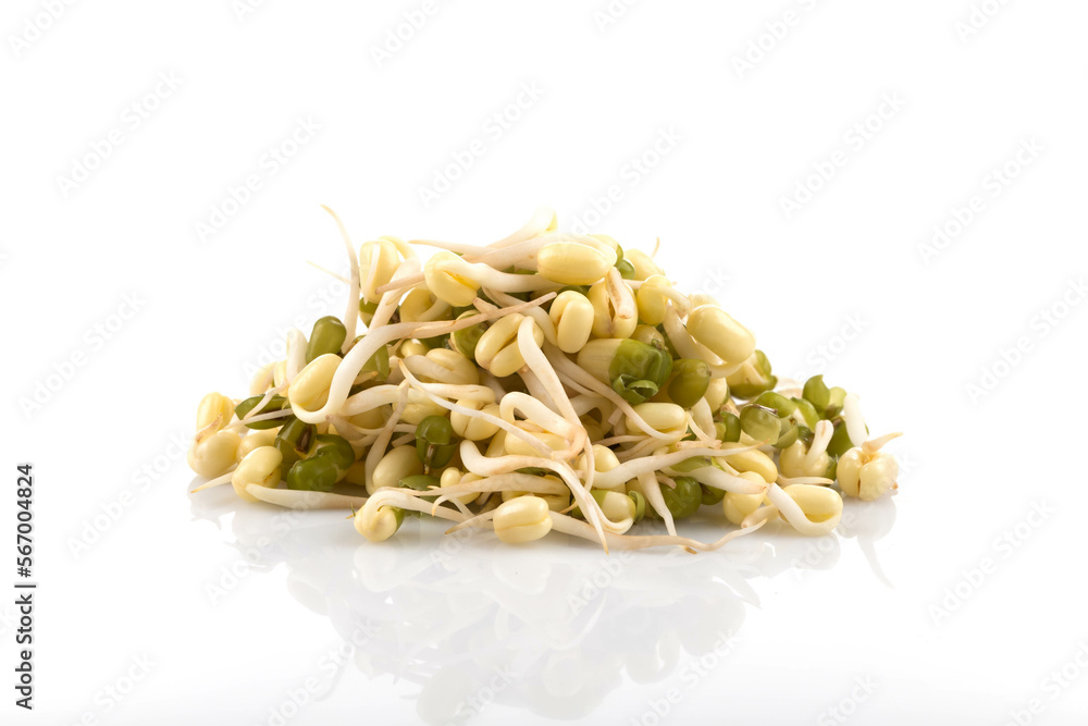 Pea seeds with sprouts close up Pea seeds with sprouts close up