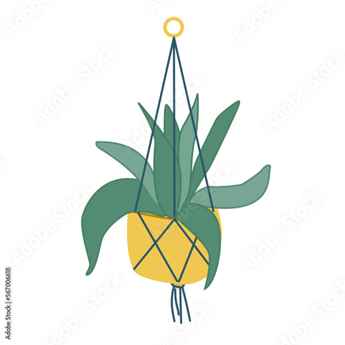 Hand-drawn isolated clip art illustration of houseplant in hanging pot