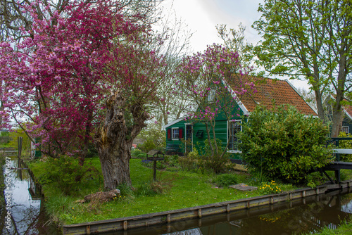 Historic Village of Zaanse Schans on the Zaan River in the Netherlands © Mira Drozdowski
