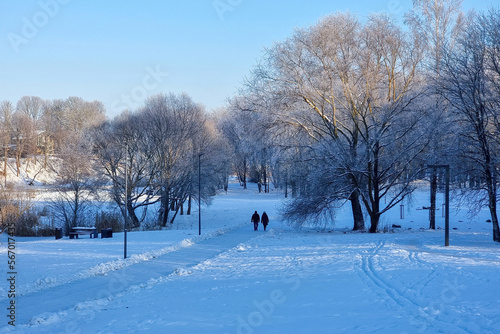 Cold winter day at sunny day - walk path in Panevezys park Lithuania