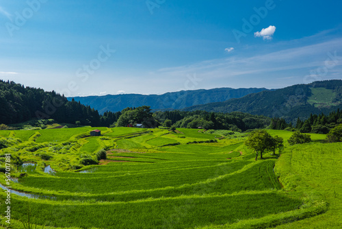 兵庫県 氷ノ山と別宮の棚田の夏景色