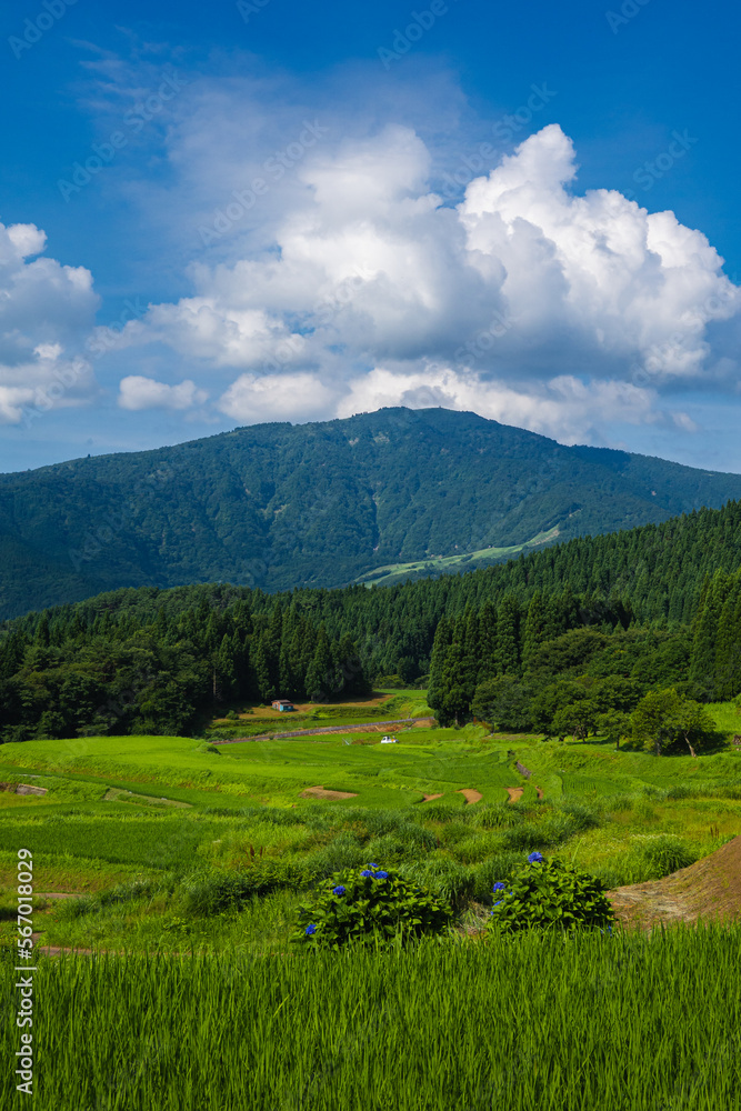 兵庫県 氷ノ山と別宮の棚田の夏景色