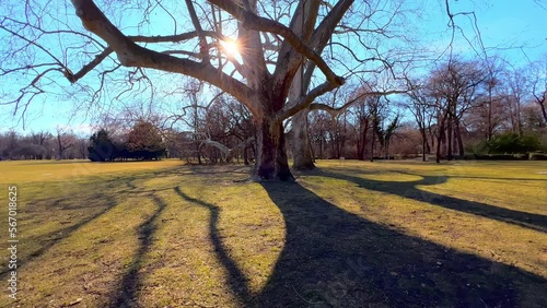 In Margitsziget Park on Margaret Island, Budapest, Hungary photo