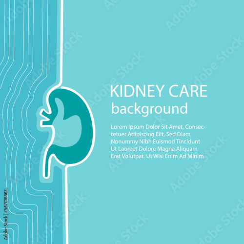 Linear vector background for Urology. Poster Kidney care clinic in blue color. vector illustration. EPS 10