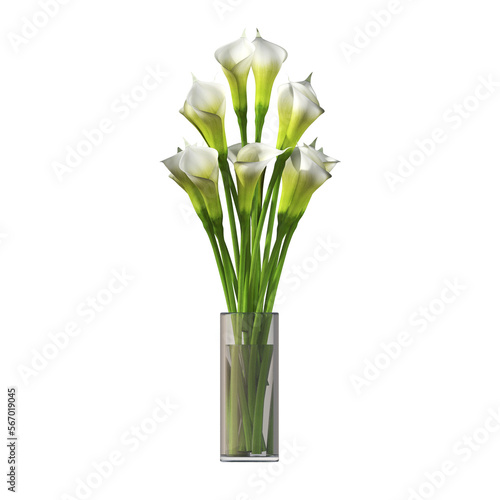 decorative flowers and plants for the interior   isolated on transparent background  3D illustration  cg render 