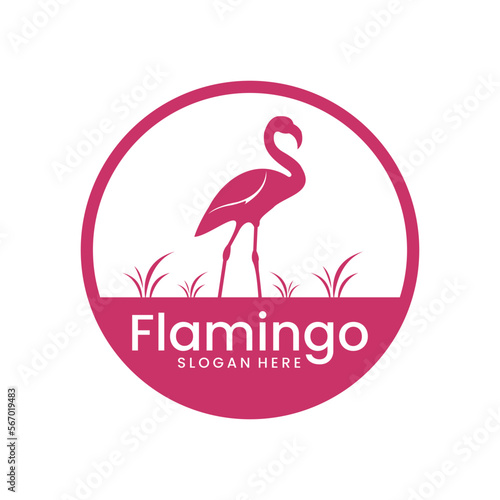 flamingo logo with pink color, animal art logo design illustration flamingo logo, vector template