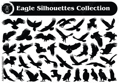 Animal bird Eagle silhouette Vector Collection