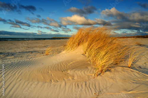 Wybrzeże Morza Bałtyckiego, plaża, biały piasek, trawa, Kołobrzeg, Polska