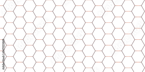 Background with hexagons . Abstract background with lines . white texture background . white and hexagon abstract background. white paper texture and futuristic business .