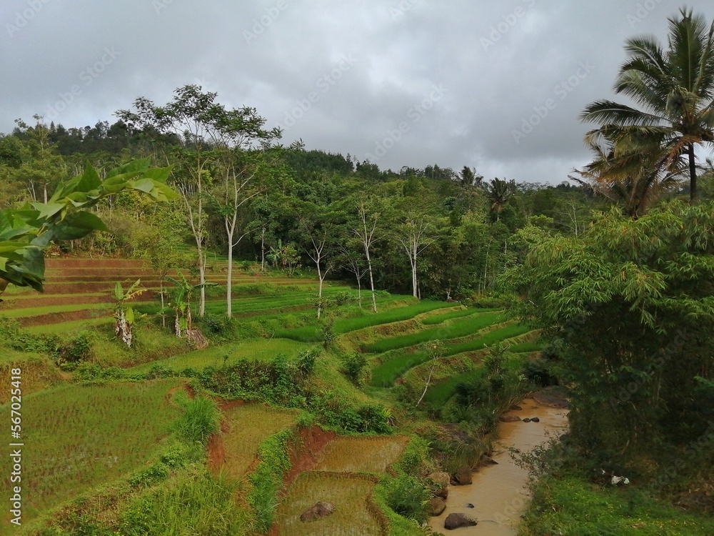 View of terraced rice fields, river and trees, cloudy weather in Indonesian countryside. Landscape background.