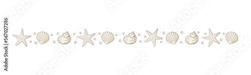 Seashells border divider. Sea and ocean design template. Vector illustration summer or beach party, advertising design