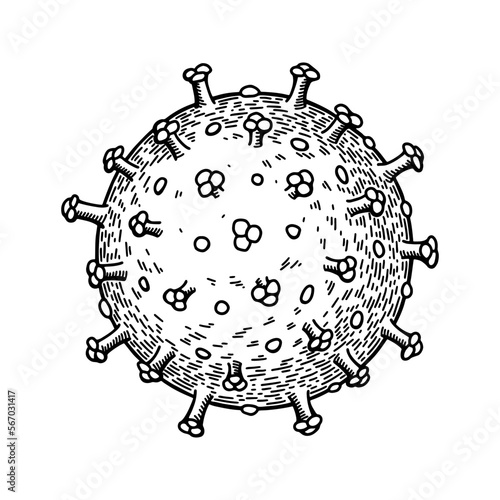 Hand drawn rotavirus isolated on white background. Realistic detailed scientifical vector illustration in sketch stile