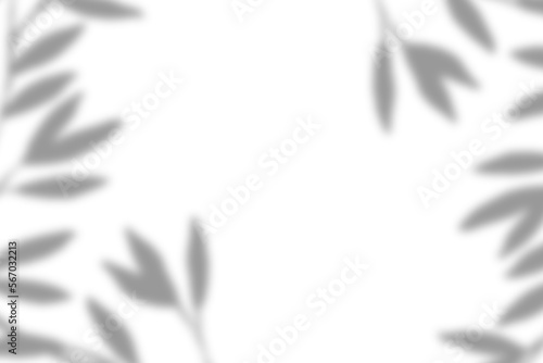 leaf shadow overlay effect. white background with tropical leaves shadows