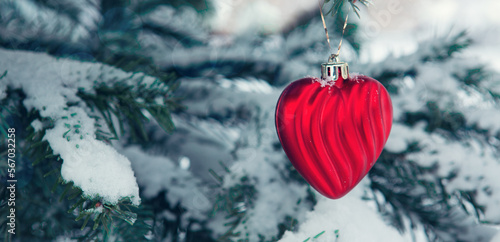 Valentines day background with red heart on snow covered pine branch