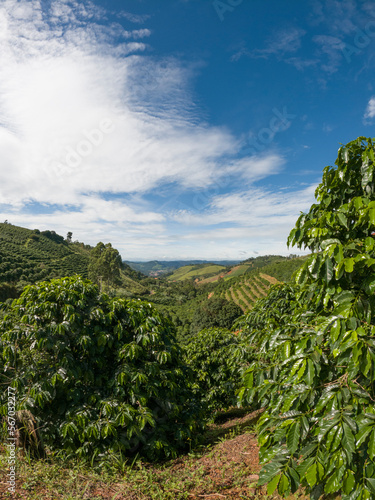 Landscape with mountains and sky - Rural scene