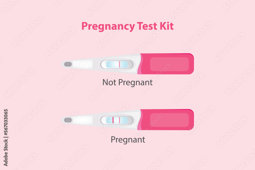 Pregnancy test kit. Showing the difference between positive and
